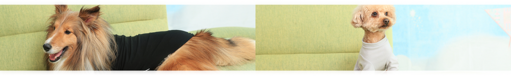 DOG WEAR